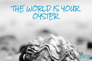 COMMERCIAL OPPORTUNITIES - THE WORLD IS YOUR OYSTER